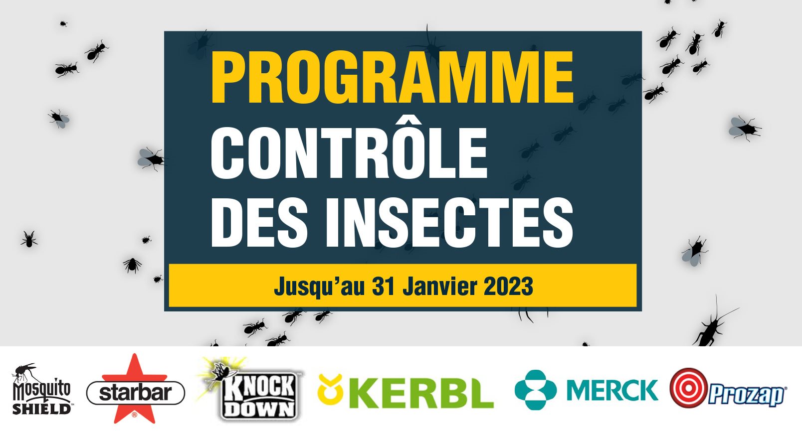 Placement contrôle des insectes 2023